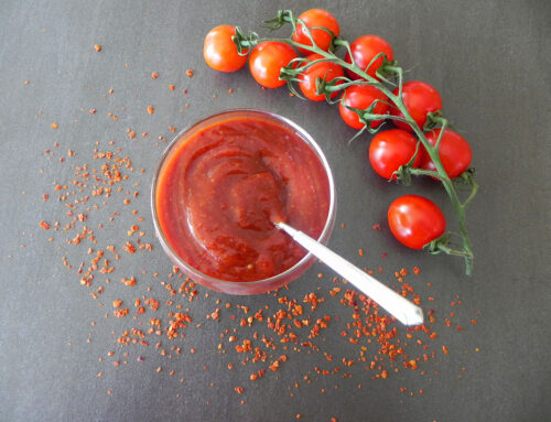 Salsa Dip